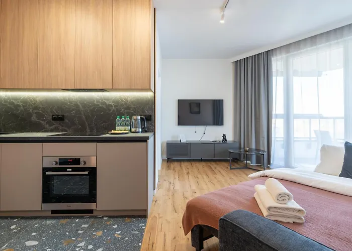 Korfantego Premium 44b By Bookinghost * Katowice